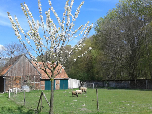 Schöne Hofanlage der Kinderbetreuung und Tagesmutter Sonja Kuschmierz
